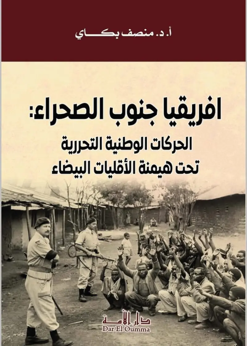 إفريقيا جنوب الصحراء